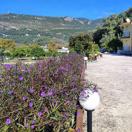 Villa Perkemes Apartments Parga Exteriör bild